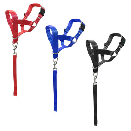 Nylon Adjustable Dog's Muzzle with Leash - wnkrs