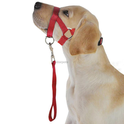 Nylon Adjustable Dog's Muzzle with Leash - wnkrs