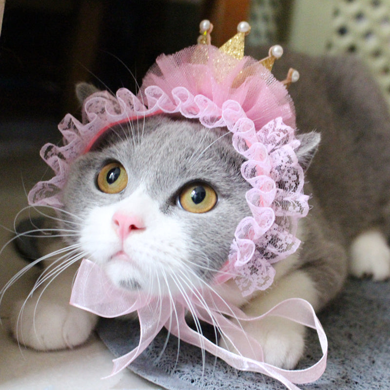 Cat Headwear