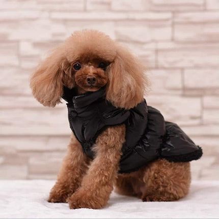 Warm Down Coat for Dogs - wnkrs