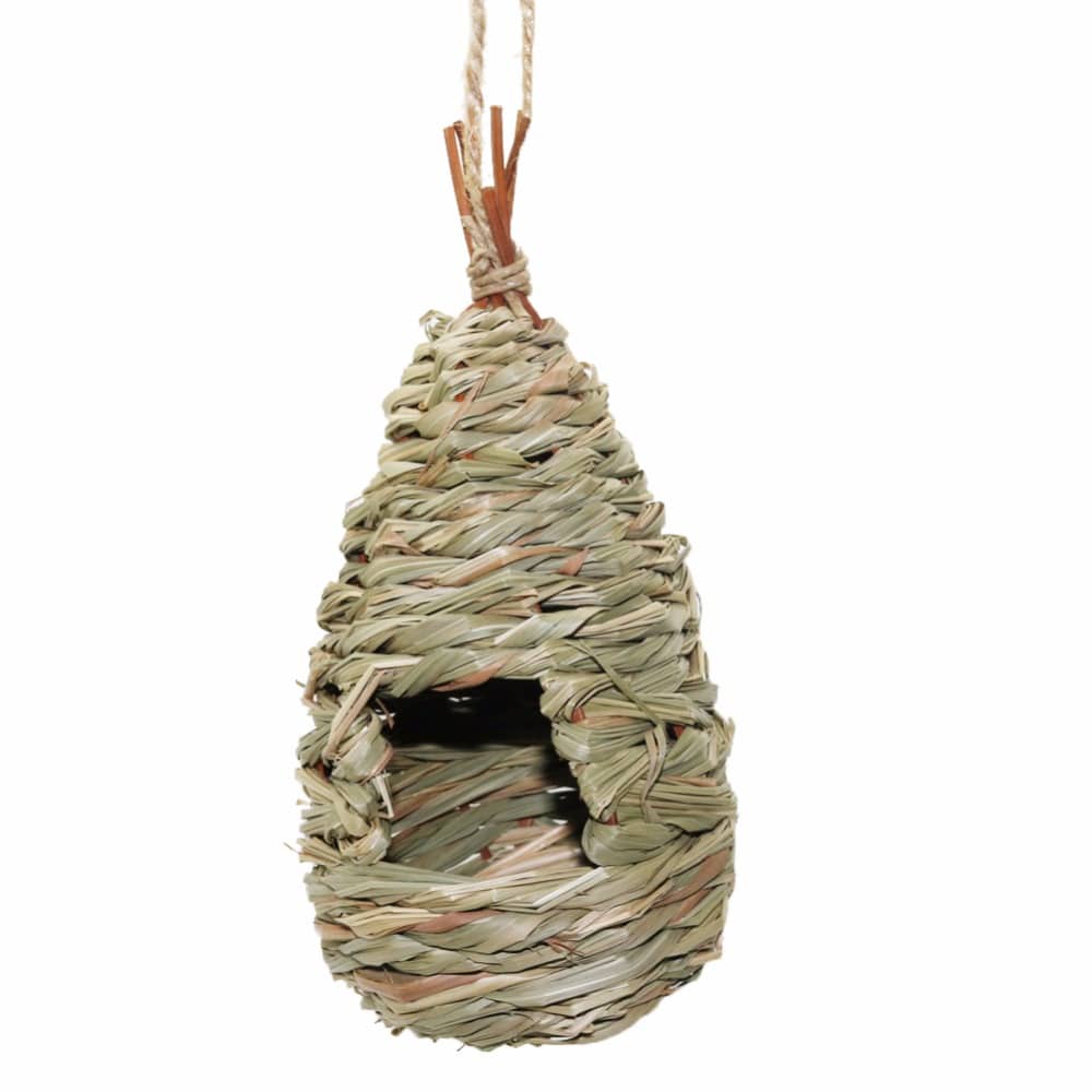Bird's Natural Breeding Nest