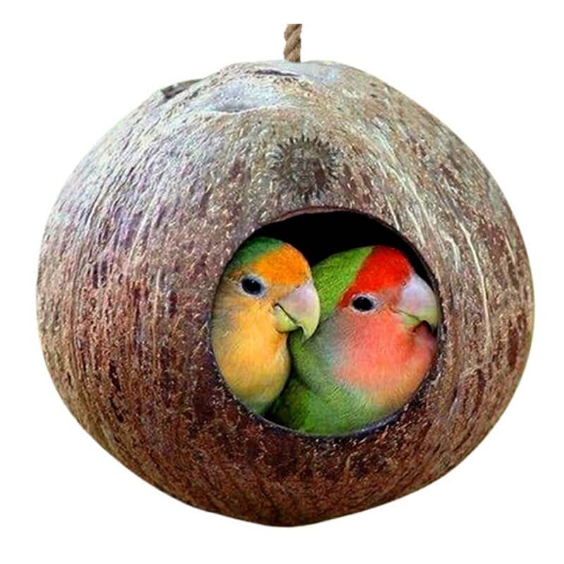 Small Bird Nesting House