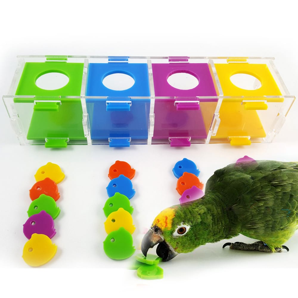 Intellectual Training Toy for Parrots
