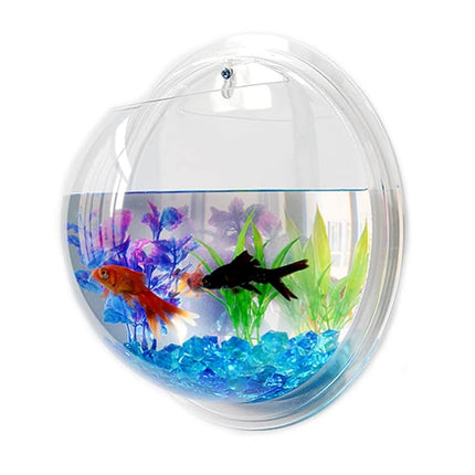 Hanging Globular Acrylic Aquarium - wnkrs