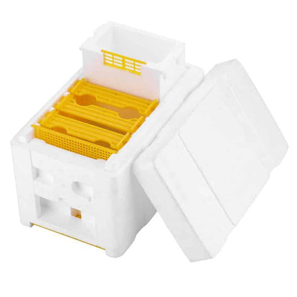 Big Bee Hive Pollination Foam Nuc Box - wnkrs