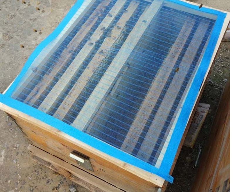 Beehive Mesh Net Cover 10 or 20 pcs Set