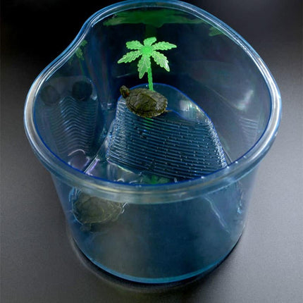 Transparent Plastic Terrariums For Turtles - wnkrs