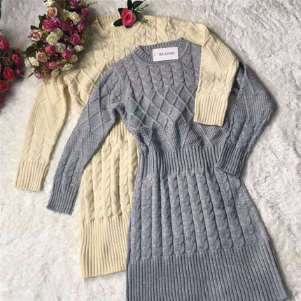 Women's Casual Warm Knitted Dress - Wnkrs