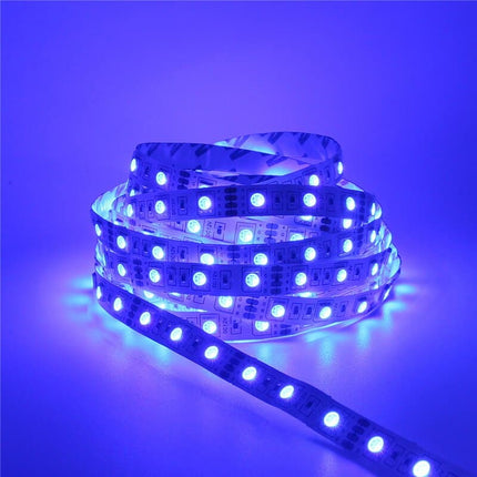 DC 12 V Short LED Strips Set - wnkrs