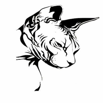 Sphynx Cat Head Car Sticker - wnkrs