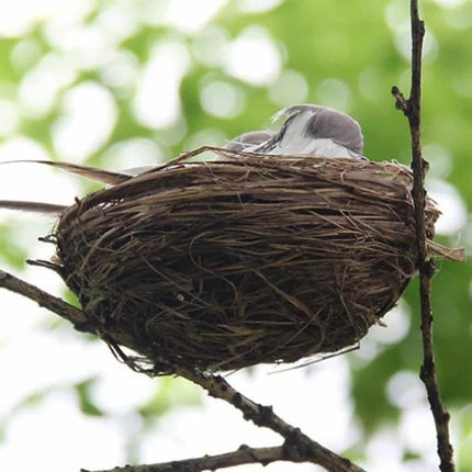 Artificial Birds for Garden Decor - Wnkrs