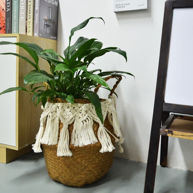 Woven Rattan Tassel Storage Basket - Wnkrs