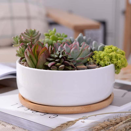 Minimalist White Ceramic Plant Pot with Bamboo Tray - wnkrs