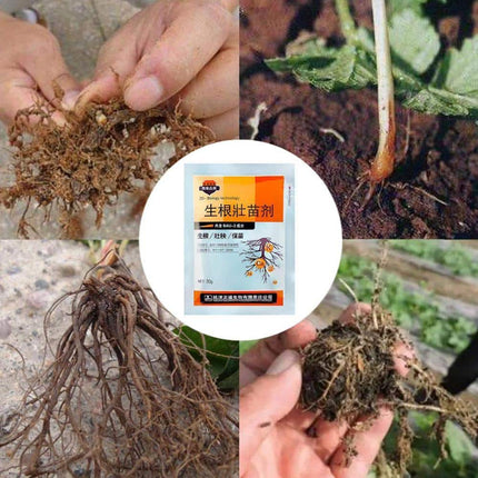 Fertilizer Seedling for Fast Rooting - wnkrs