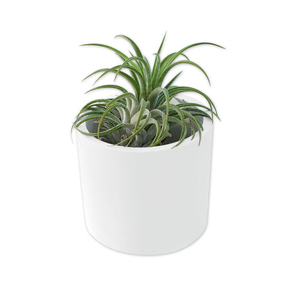 Round White Ceramic Planter - wnkrs