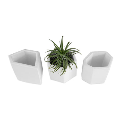 Gemstone Planter Trio - wnkrs