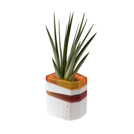 Big Treasure Vessel Planter - wnkrs