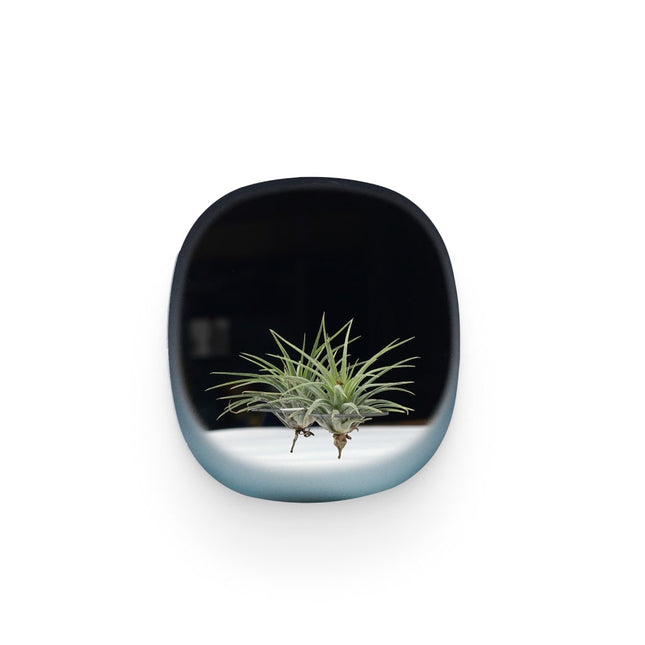Square Blue Plant Mirror - wnkrs