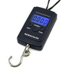 wh-a01lb-scale