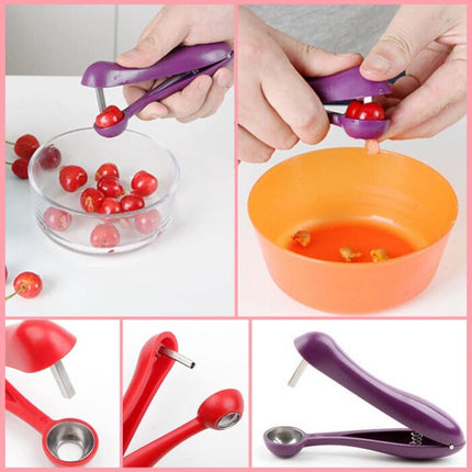 Purple Olive / Cherry Pitter Tool - Wnkrs