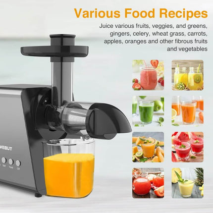 9 Segment 2 Speed Modes Juicer - wnkrs