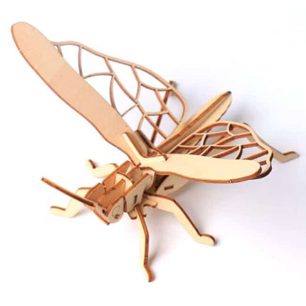 3D Insect DIY Kit - wnkrs