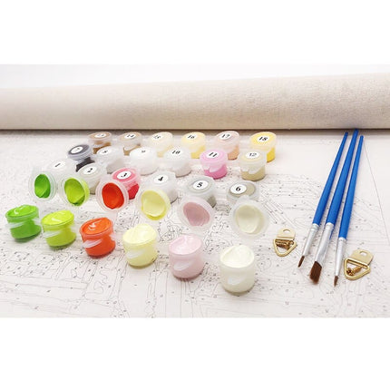 Balloon DIY Painting By Numbers Kit - Wnkrs