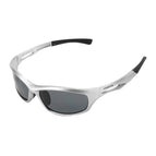 c4-silver-l-gray