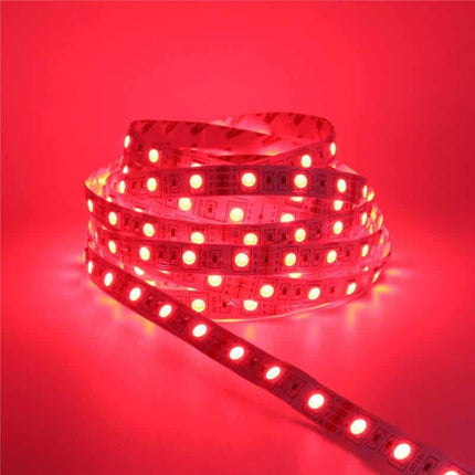 DC 12 V Short LED Strips Set - wnkrs