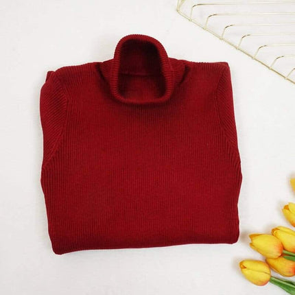 Women's Knitted Solid Color Turtleneck Dress - wnkrs