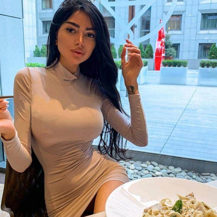 Women's Turtleneck Slim Dress - Wnkrs