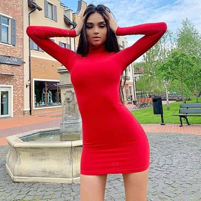Women's Turtleneck Slim Dress - Wnkrs